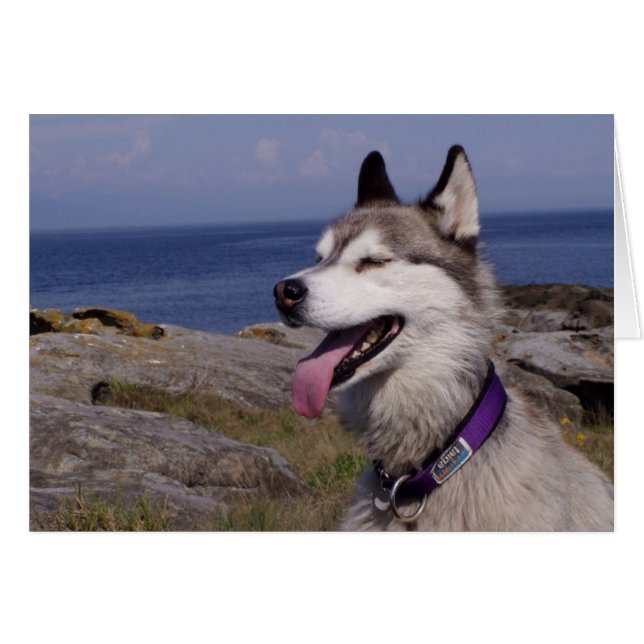Cartão QuinnDog perto do mar (Frente Horizontal)