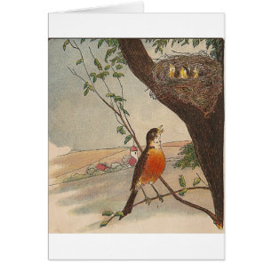 Cartão R é para o pisco de peito vermelho