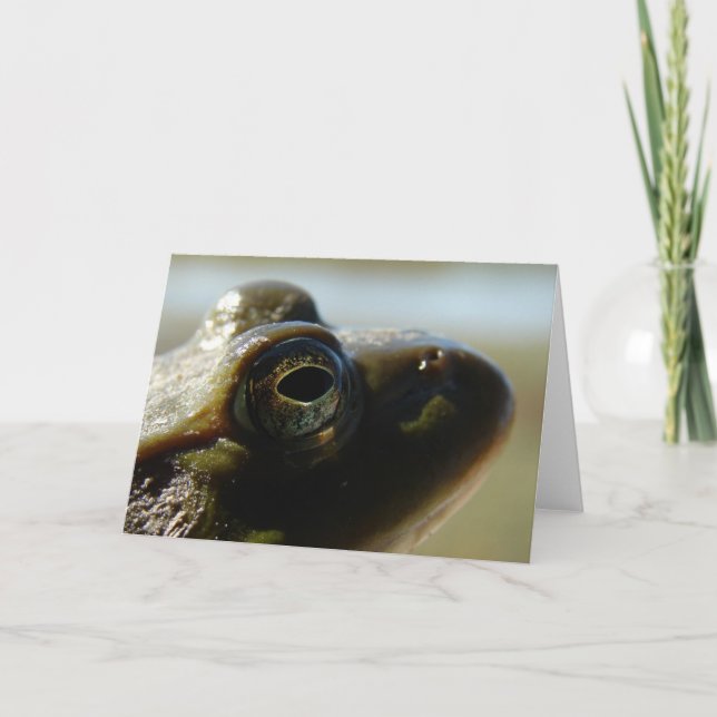 Cartão Rã-grande (Frente)