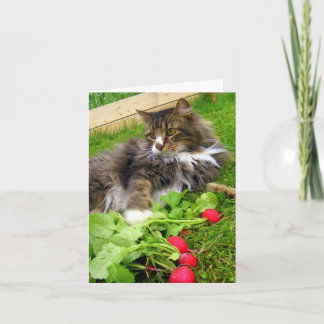 Cartão Rabanetes de gato e de jardim / Notecard