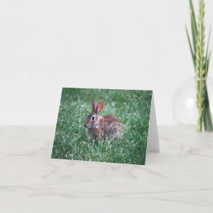 Cartão Rabbit Notecard