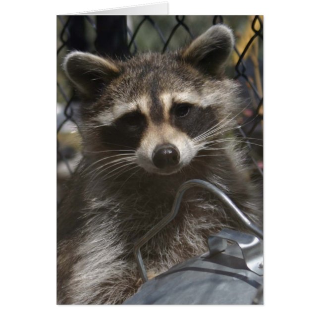 Cartão rabiscos 759 (Frente)