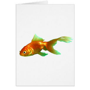 Cartão rabo-de-rico