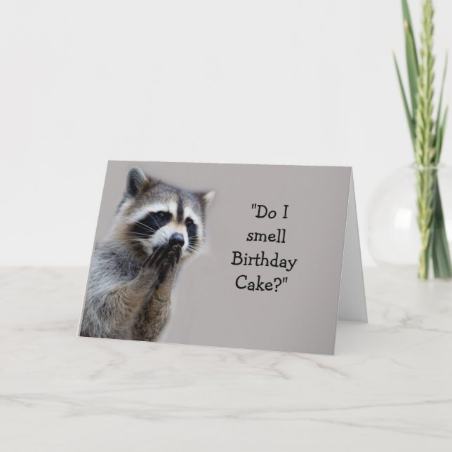 Cartão Raccoon Animal Humor Birthday Cake Fun Card (Frente)