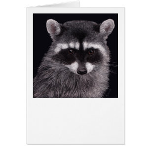 Cartão Raccoon "Hooligan"