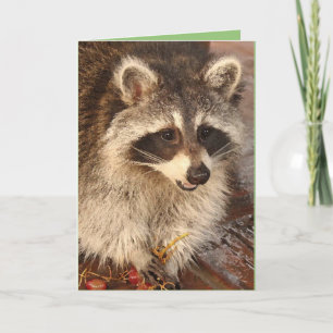 Cartão Raccoon Kit with Grapes blank note card