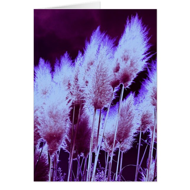 Cartão Radioativo (Frente)