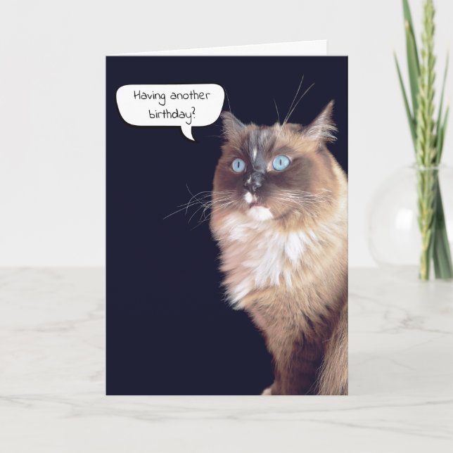 Cartão Ragdoll Cat Aniversário Humor (Frente)