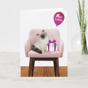 Cartão Ragdoll Kitten Com Presente De Aniversário