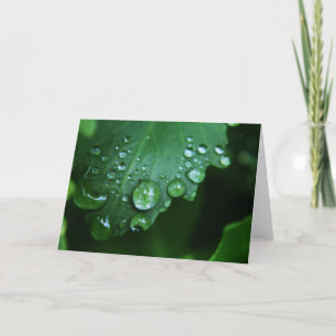 Cartão Rain Drop Blank Note Card