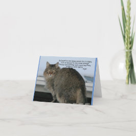 Cartão Rainbow Bridge - Poema de simpatia para Gatos