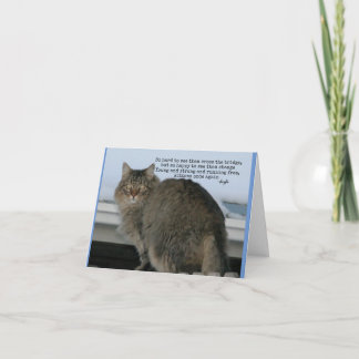 Cartão Rainbow Bridge - Poema de simpatia para Gatos