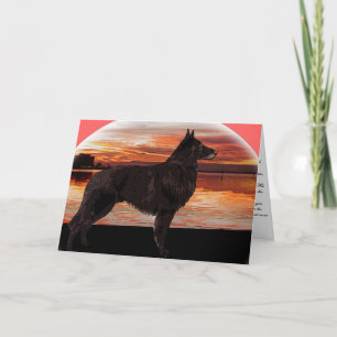 Cartão Rainbow Bridge Sympathy Card: Belgian Tervuren