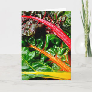 Cartão Rainbow Chard