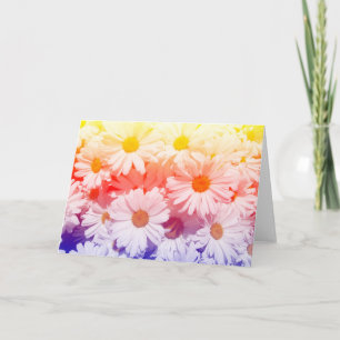 Cartão Rainbow Daisies