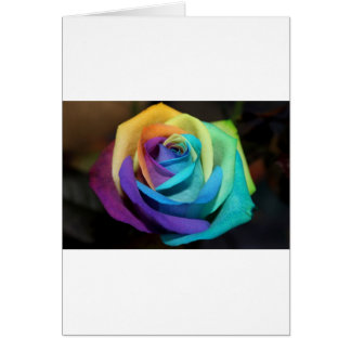 Cartão Rainbow Rosa Flores Paz Destino de Amor