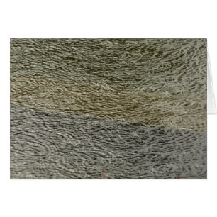 Cartão Raindrop Ripples Fotografia Abstrato