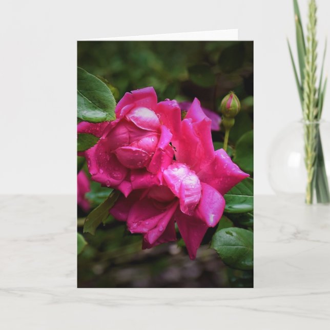 Cartão Raindrops & Rosa vermelha, placa (Frente)