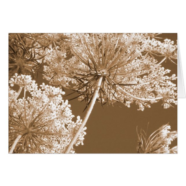 Cartão Rainha Ann's Lace (Frente horizontal)