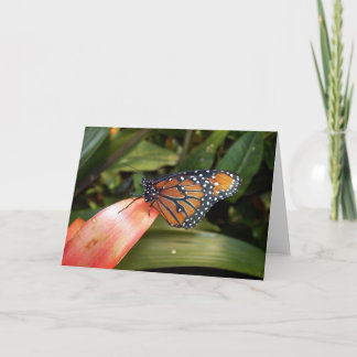 Cartão Rainha Butterfly