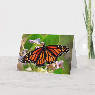 Cartão Rainha de Laranja