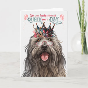Cartão Rainha do Cão Bergamasco por Dia Aniversário Diver
