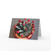 Rainha Vitória Agave com Aromas por DLBaldwin