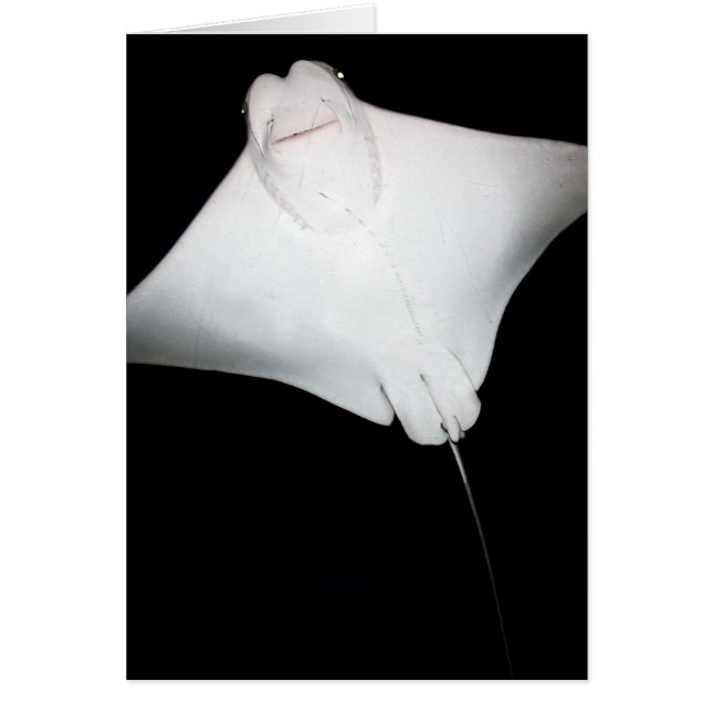 Cartão Raio Sorrindo (Frente)