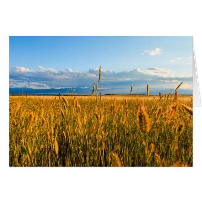 Cartão Raios de sol sobre campo de trigo com montanhas (Frente Horizontal)