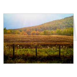 Cartão Raios do Sol no outono