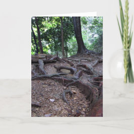 Cartão Raizes da árvore em Mt. Kurama