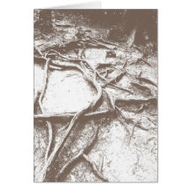 Raizes da árvore em Mt. Kurama