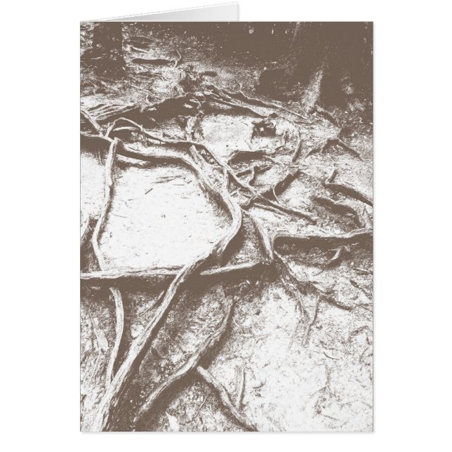 Cartão Raizes da árvore em Mt. Kurama (Frente)