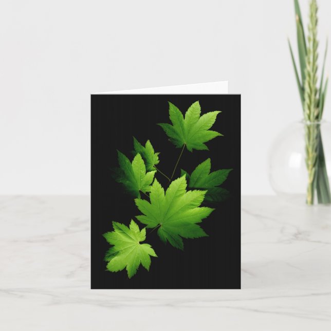 Cartão Ramificação de mapeamento 1 (Frente)