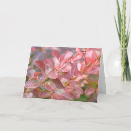 Cartão Ramificações bonito rosa