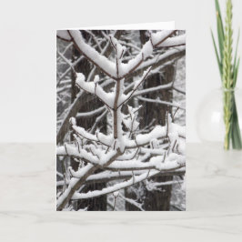 Cartão Ramificações cobertas por neve