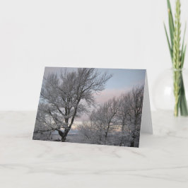 Cartão Ramificações cobertas por neve