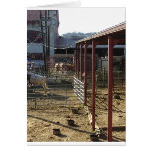 Cartão Rancho