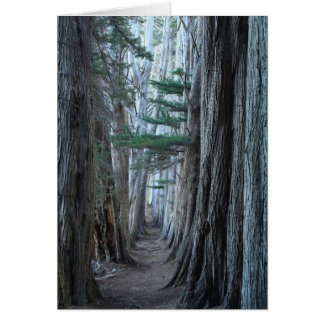 Cartão Rancho do mar