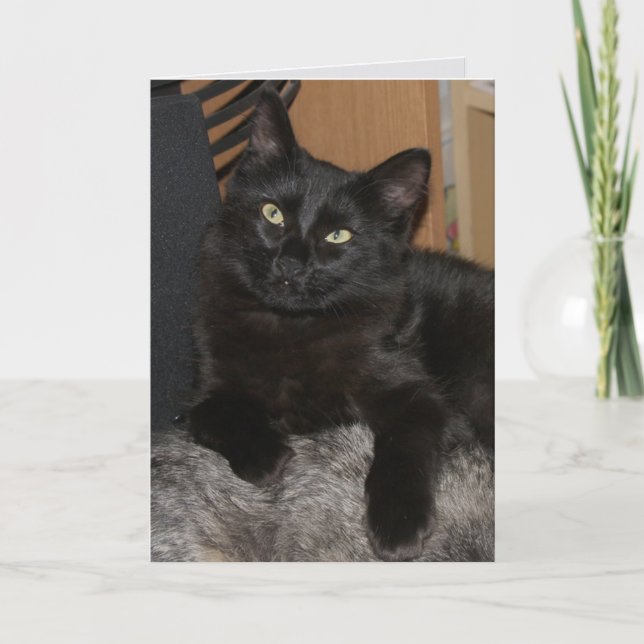 Cartão Ranger Cat Vazio Greeting Card (Frente)