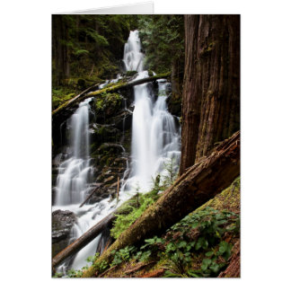 Cartão Ranger Falls