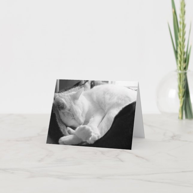 Cartão Rangido do sono (Frente)