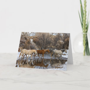 Cartão Ranhura Hideout Horse