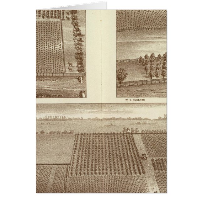 Cartão Ranjas Lemoore (Frente)