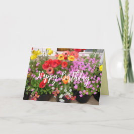 Cartão Rannunculus Primavera Bulbs Flor Flor