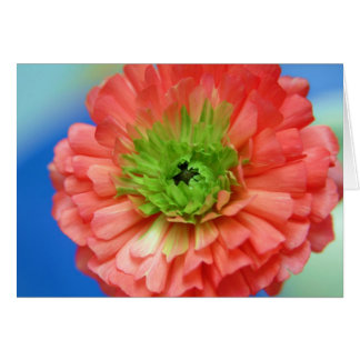 Cartão ranúculo verde central