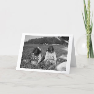 Cartão Raparigas que escolhem a fotografia dos arandos