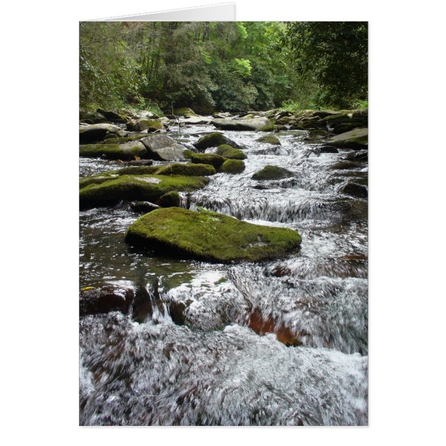 Cartão Rapazes prateados (Frente)