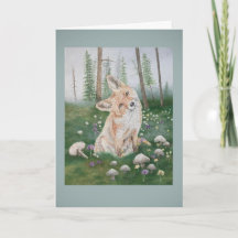 Raposa da Floresta