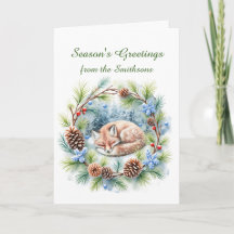 Raposa dormente no festival de inverno